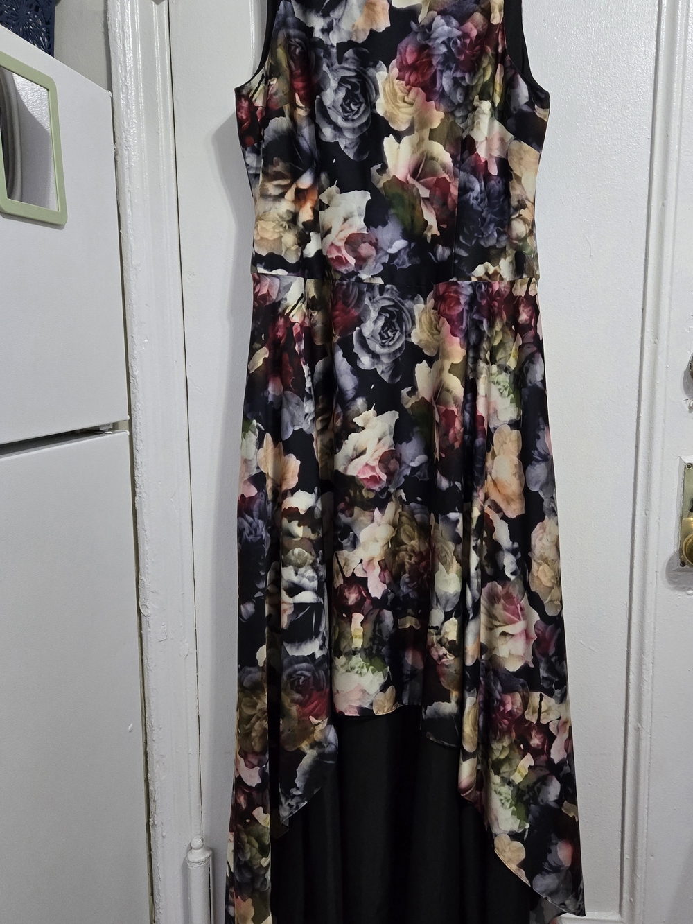 Adrianna Papell Sleeveless Floral High-Low Dress - Black Multi